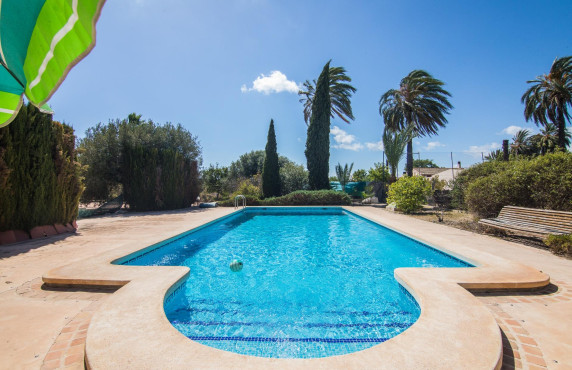 For Sale -  - Elche - Elche / Elx