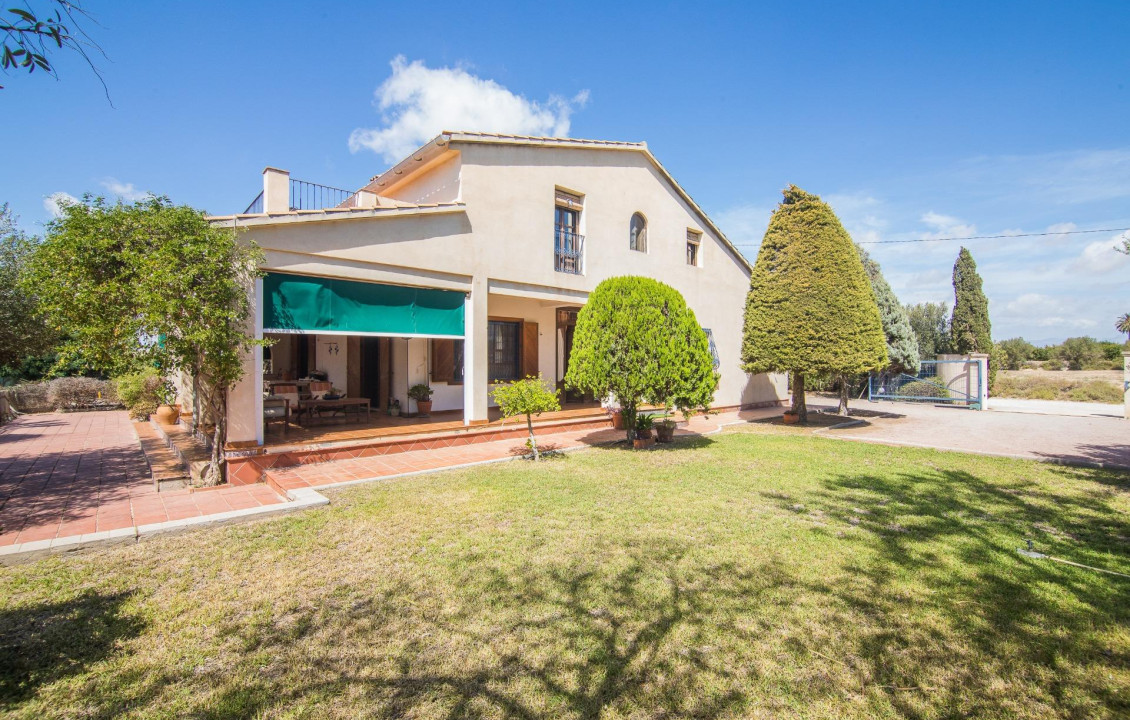 For Sale -  - Elche - Elche / Elx