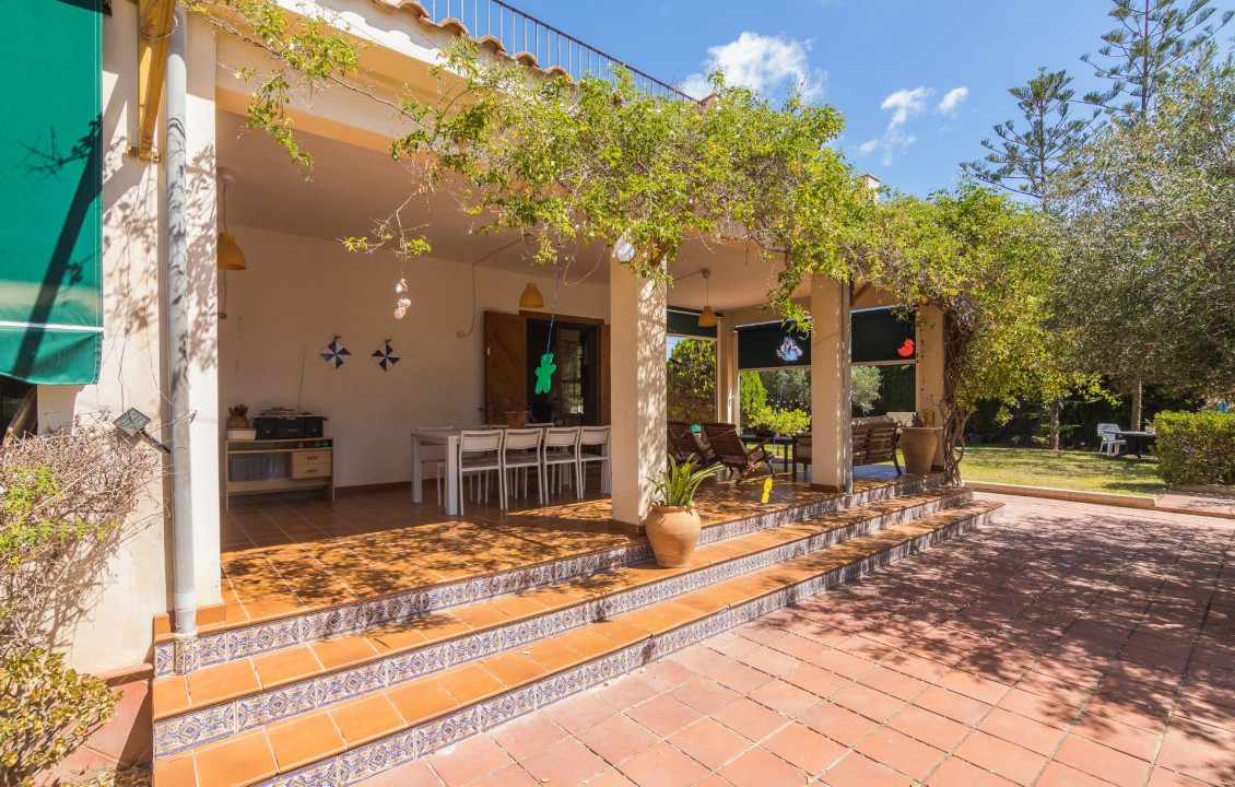 For Sale -  - Elche - Elche / Elx