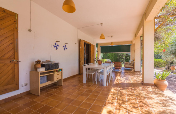 For Sale -  - Elche - Elche / Elx