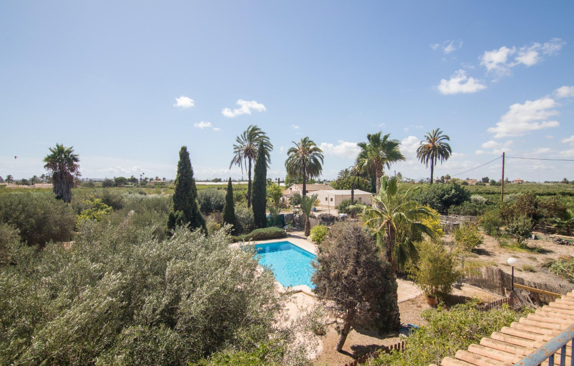 For Sale -  - Elche - Elche / Elx