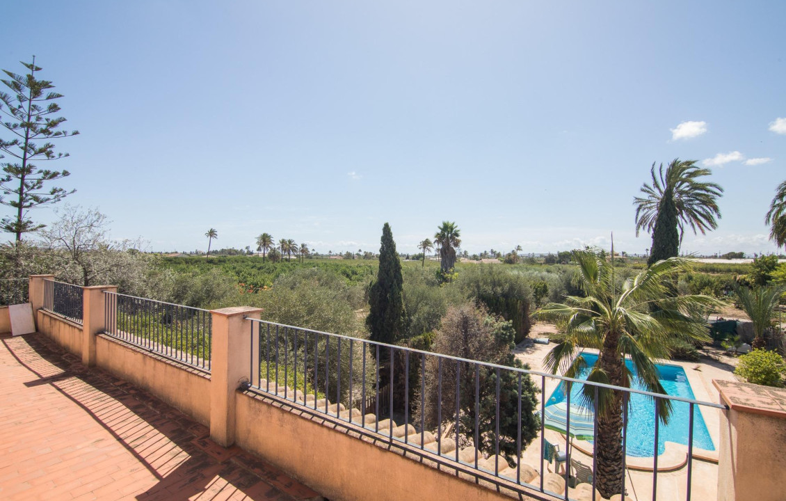 For Sale -  - Elche - Elche / Elx