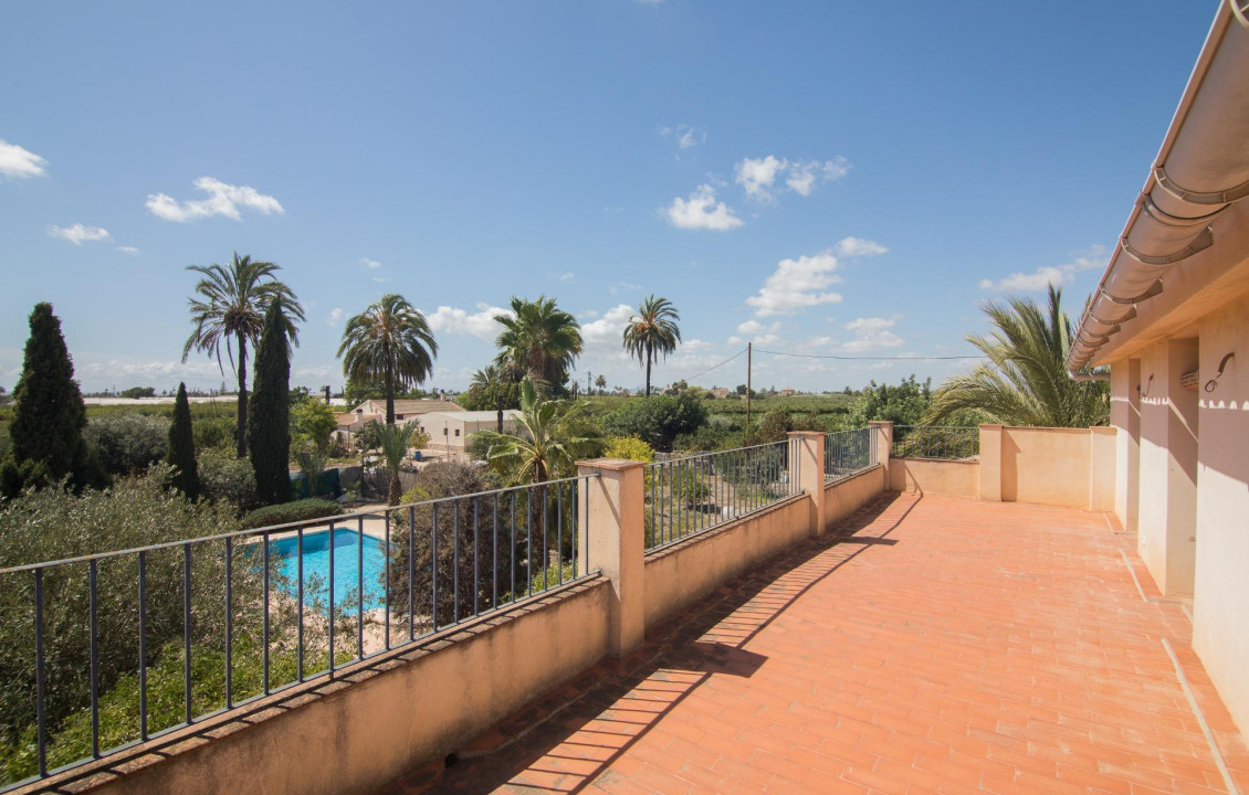 For Sale -  - Elche - Elche / Elx