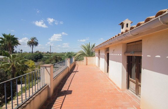For Sale -  - Elche - Elche / Elx