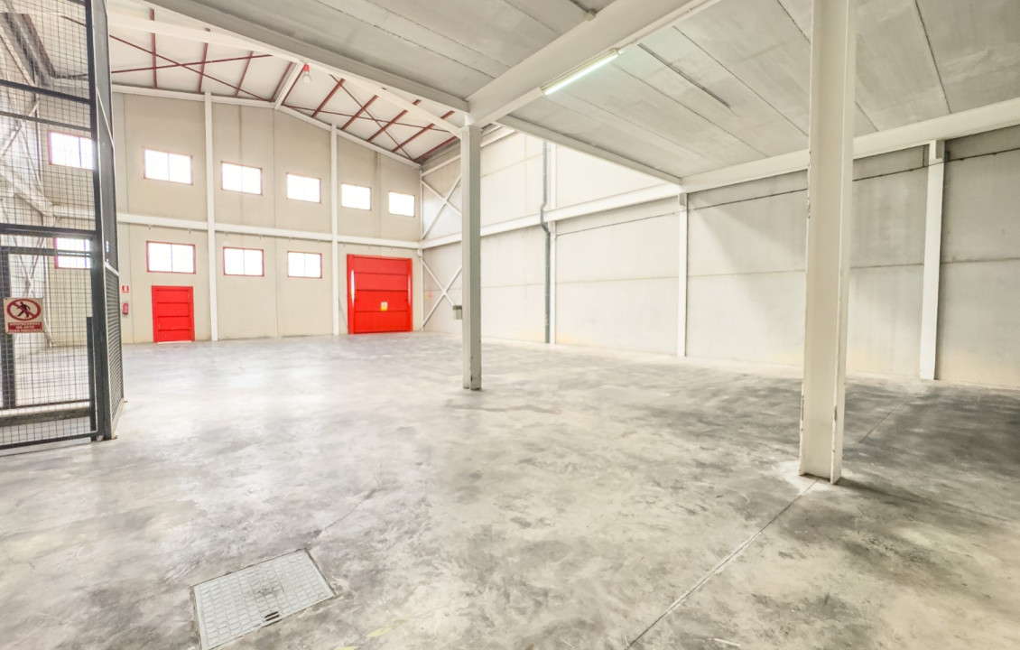 Long Rental Period - Ware House - Torrellano - Parque empresarial