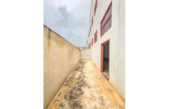 Long Rental Period - Ware House - Torrellano - Parque empresarial