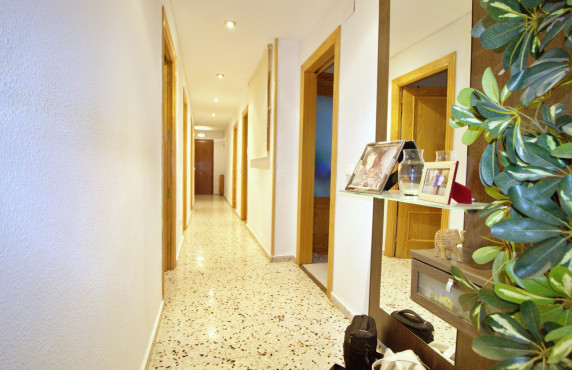 Venta - Piso - Alicante - Benalua