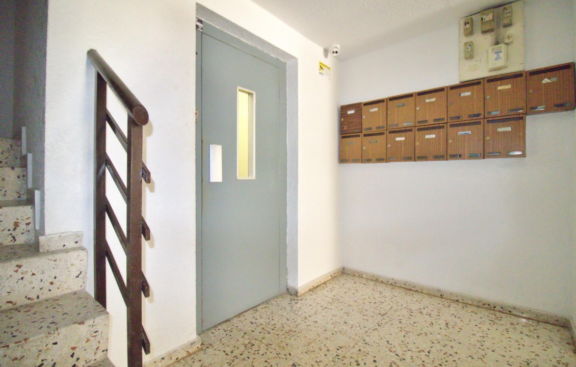 Venta - Piso - Alicante - Benalua