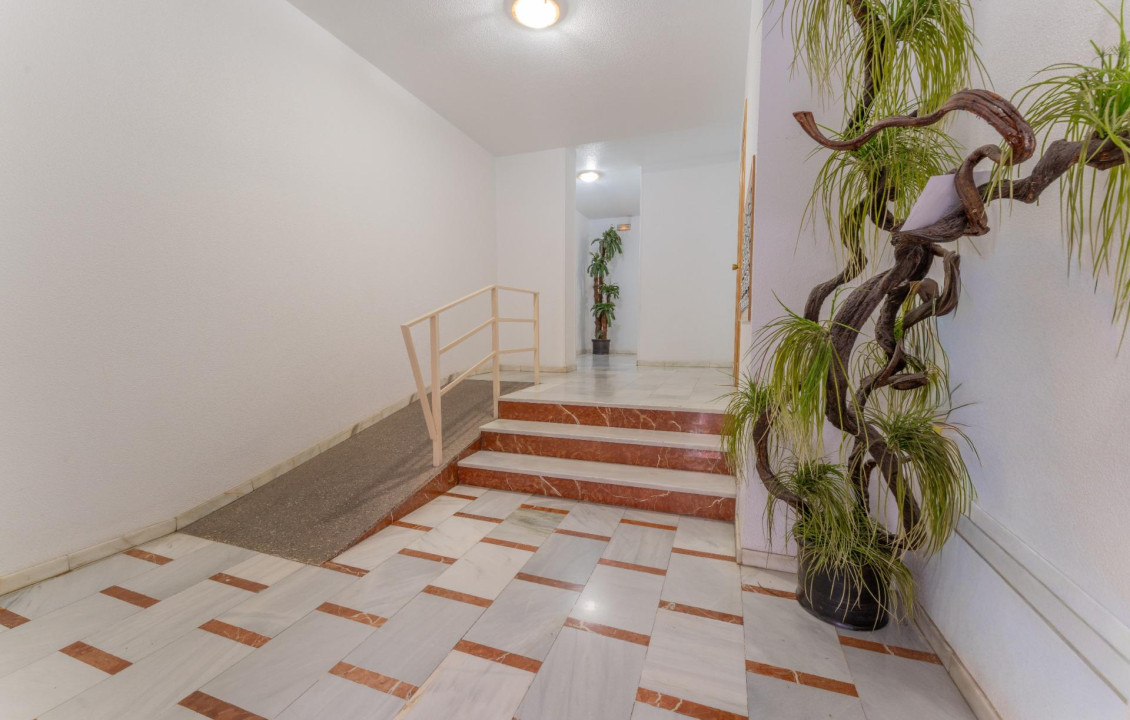 For Sale -  - Elche - Plaza Crevillente-Juzgados