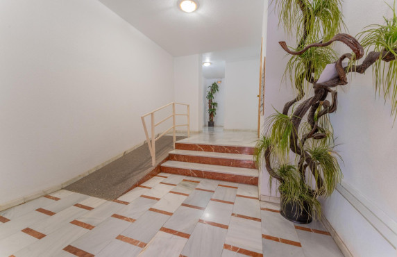 For Sale -  - Elche - Plaza Crevillente-Juzgados