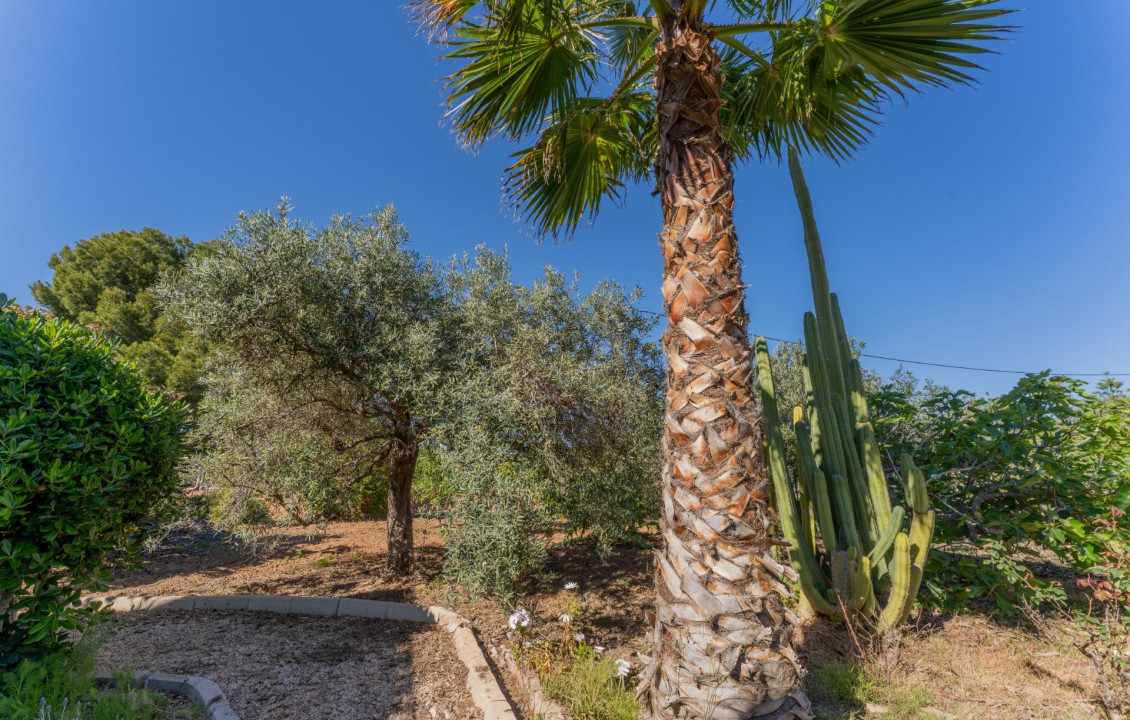 For Sale -  - El altet - El Altet - Balsares