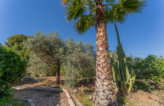 For Sale -  - El altet - El Altet - Balsares
