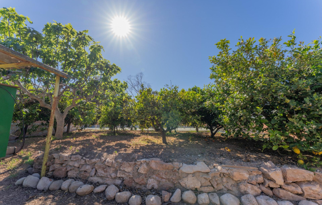 For Sale -  - El altet - El Altet - Balsares