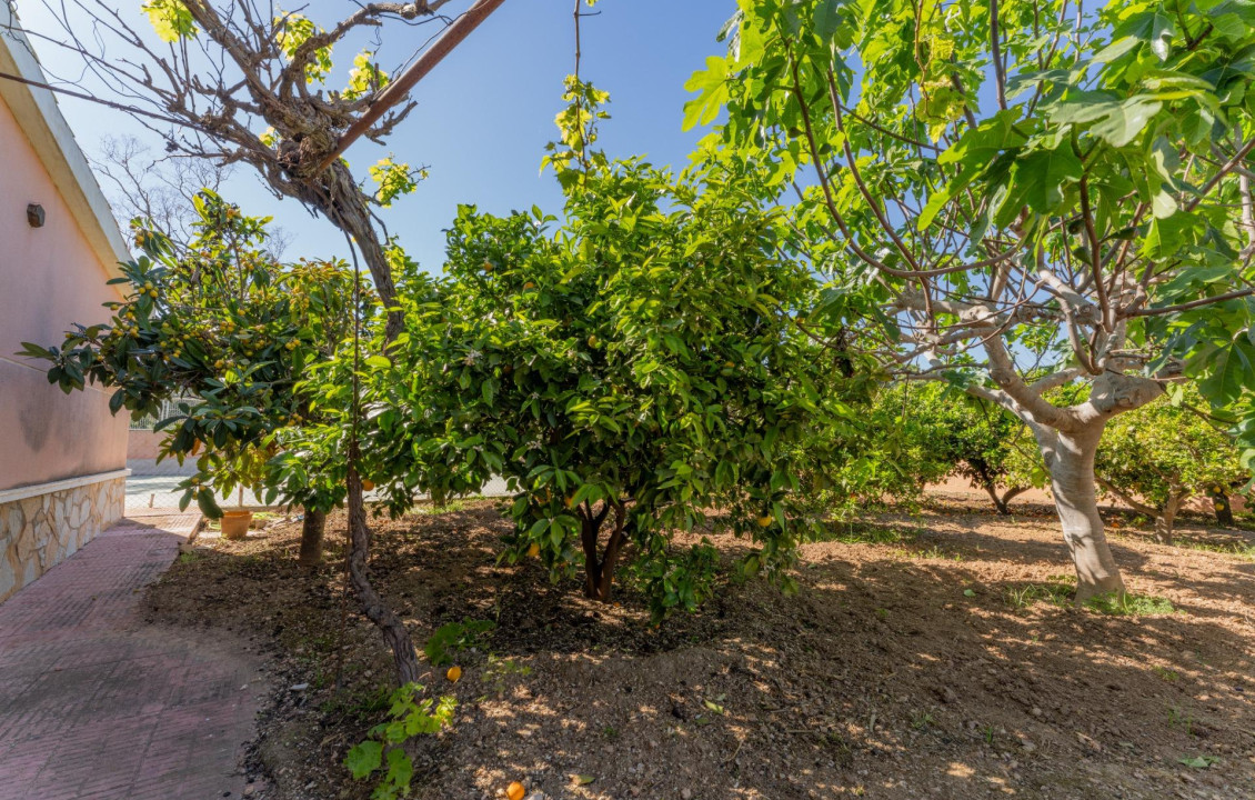For Sale -  - El altet - El Altet - Balsares
