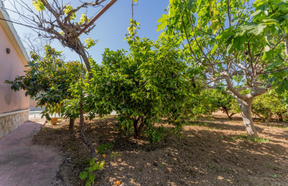 For Sale -  - El altet - El Altet - Balsares