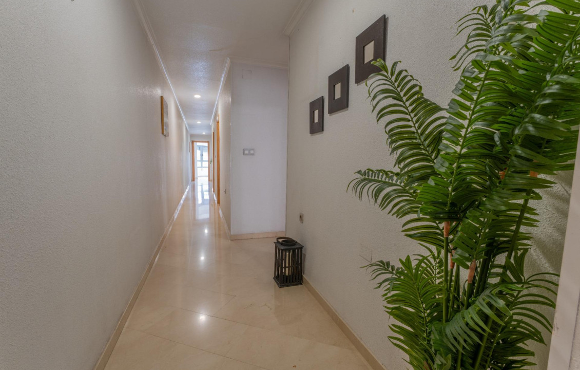For Sale -  - Elche - Carrús Este