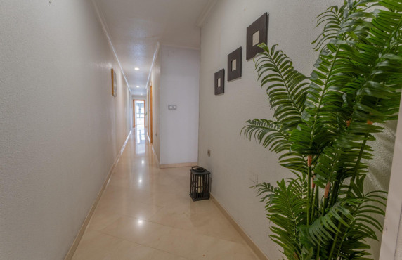 For Sale -  - Elche - Carrús Este
