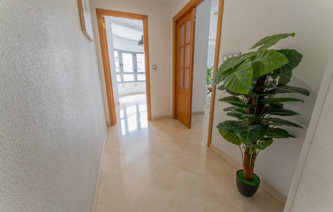 For Sale -  - Elche - Carrús Este