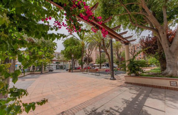 For Sale -  - Elche - Carrús Este