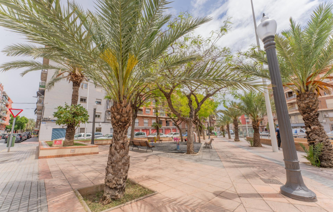 For Sale -  - Elche - Carrús Este