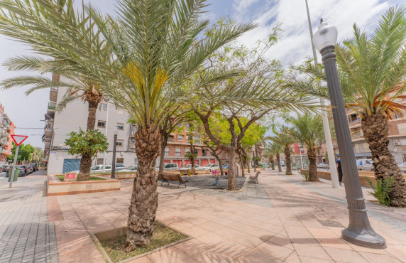 For Sale -  - Elche - Carrús Este
