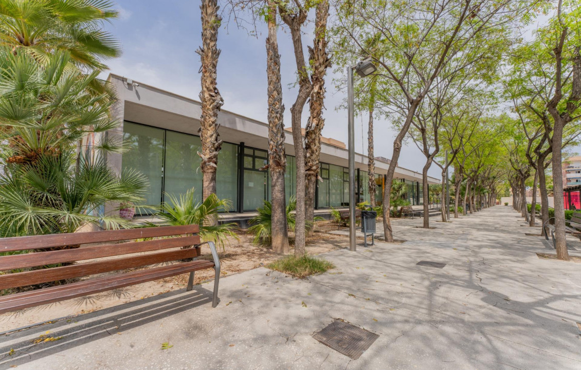 For Sale -  - Elche - Carrús Este