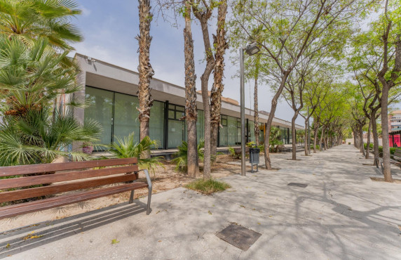 For Sale -  - Elche - Carrús Este