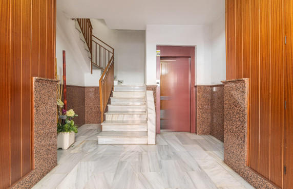 For Sale -  - Elche - Toscar