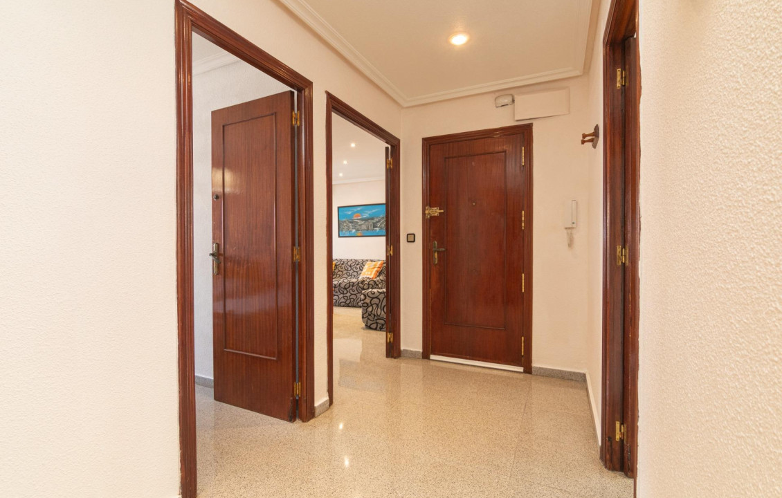 For Sale -  - Elche - Toscar