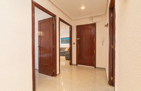 For Sale -  - Elche - Toscar