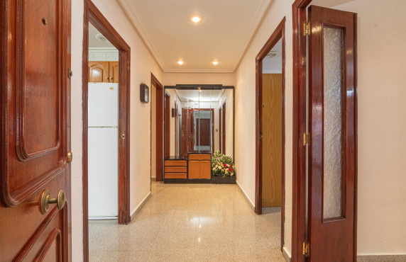 For Sale -  - Elche - Toscar