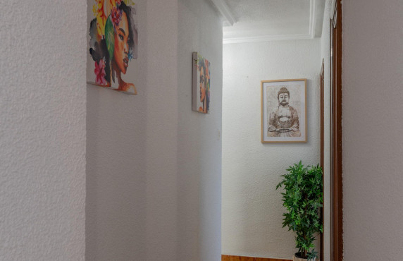 For Sale -  - Elche - Asilo - Pisos Azules