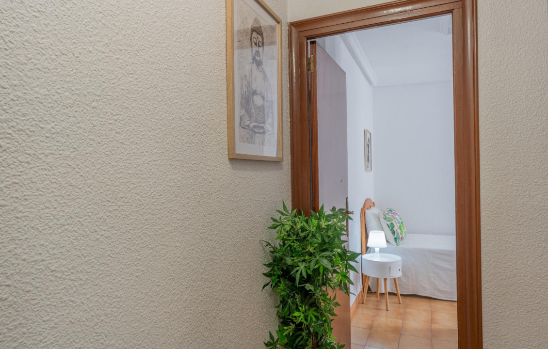 For Sale -  - Elche - Asilo - Pisos Azules