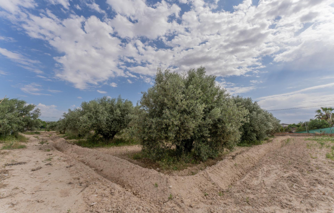 Venta - Chalet - Crevillent - DERRAMADOR