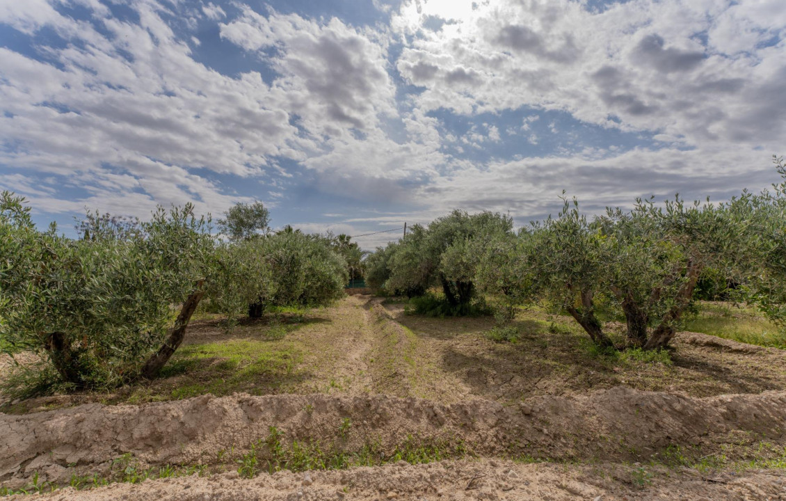 Venta - Chalet - Crevillent - DERRAMADOR