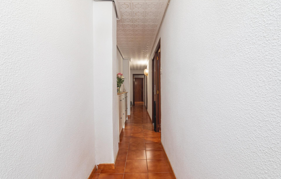 For Sale -  - Elche - Plaza Crevillente-Juzgados