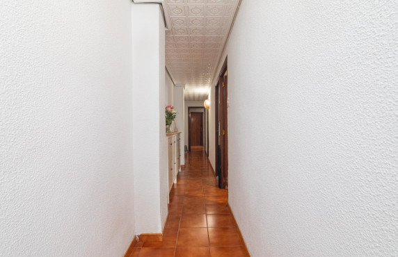 For Sale -  - Elche - Plaza Crevillente-Juzgados