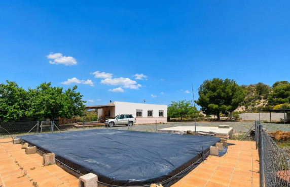 For Sale -  - Novelda - HORNA ALTA