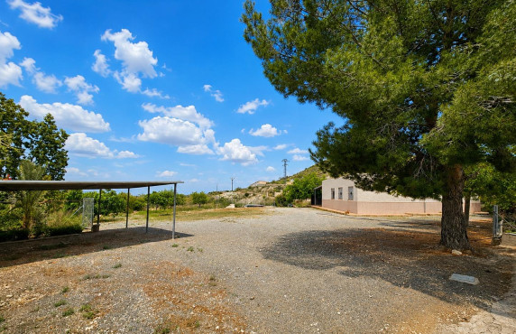 For Sale -  - Novelda - HORNA ALTA