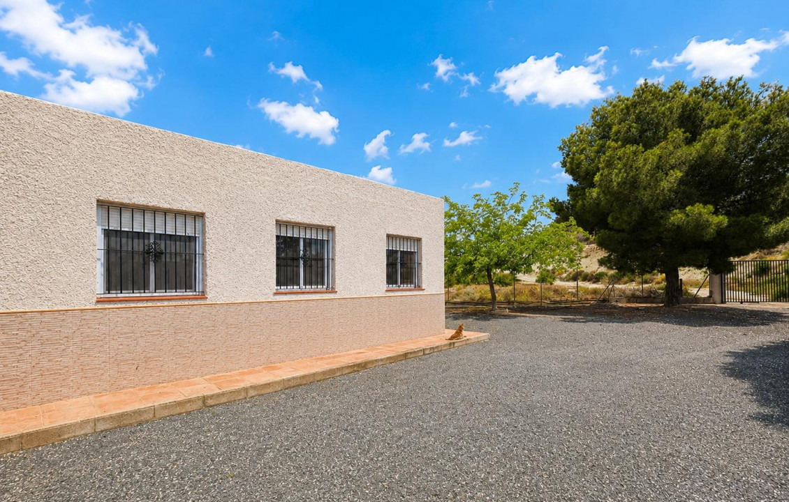For Sale -  - Novelda - HORNA ALTA