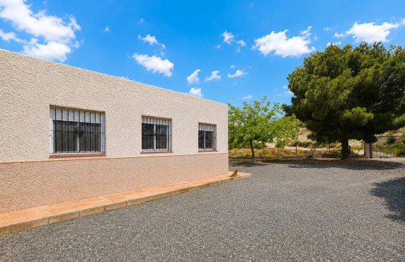 For Sale -  - Novelda - HORNA ALTA