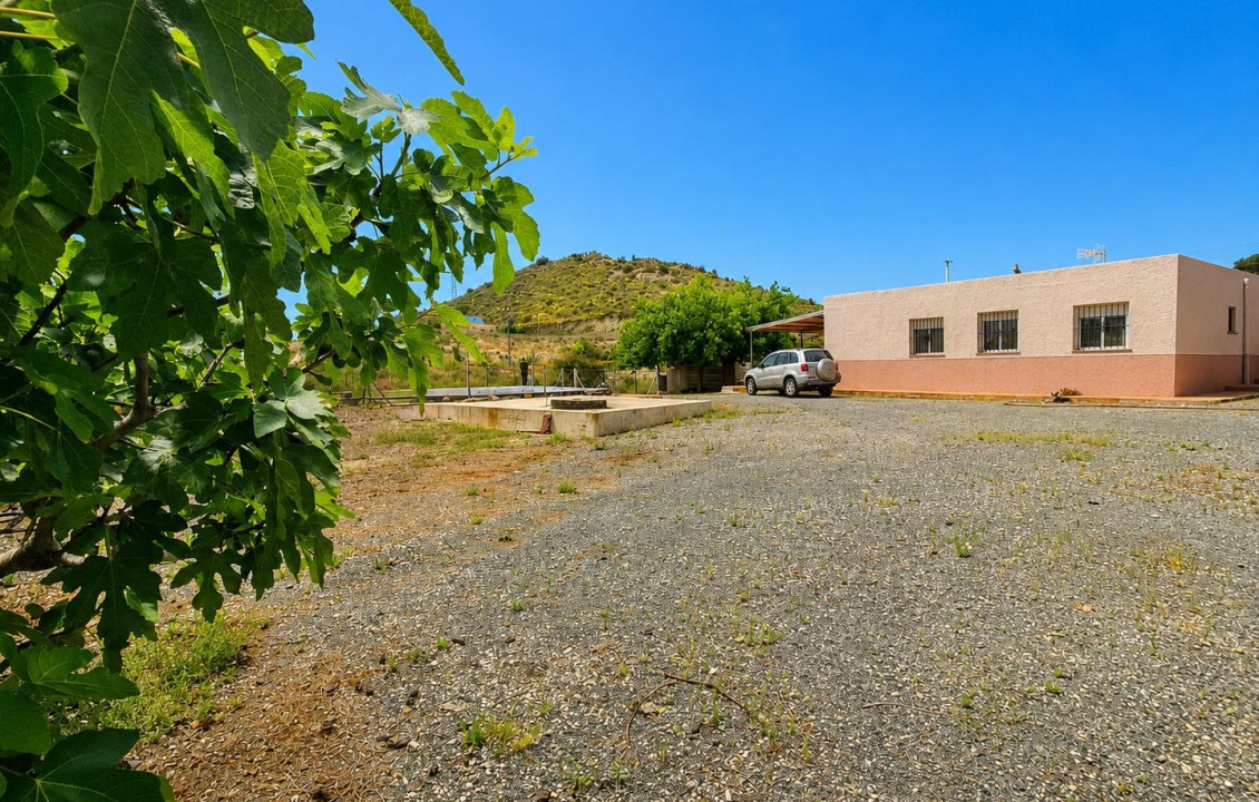 For Sale -  - Novelda - HORNA ALTA