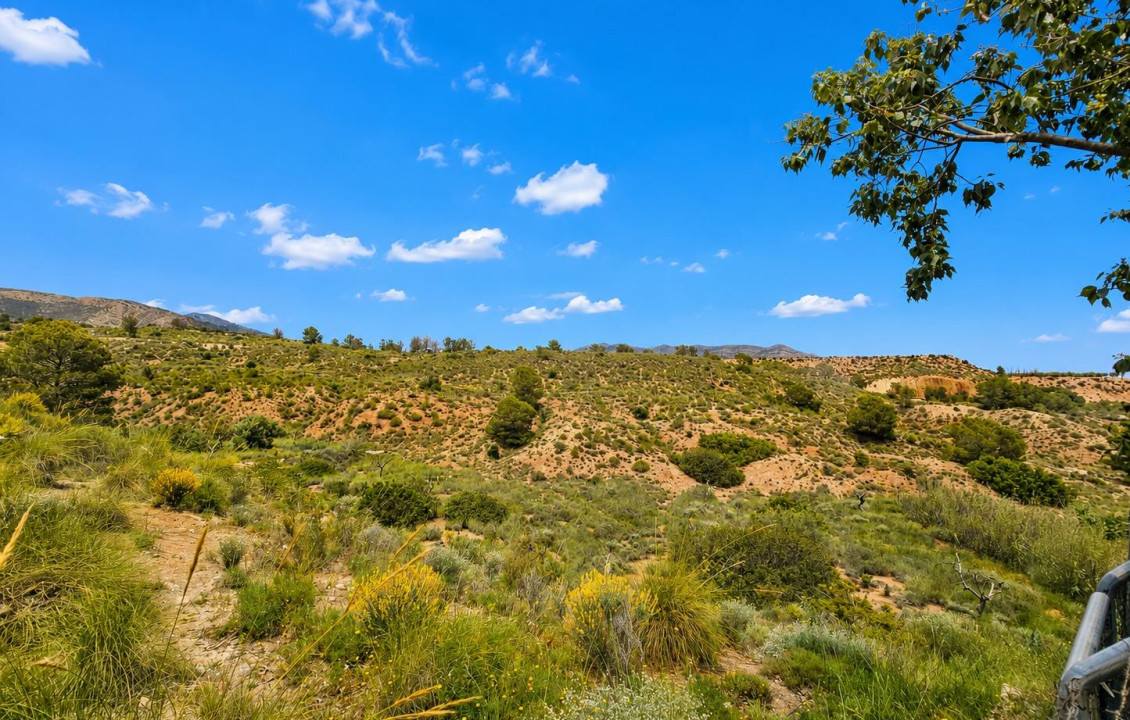 For Sale -  - Novelda - HORNA ALTA