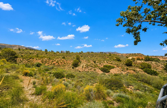 For Sale -  - Novelda - HORNA ALTA