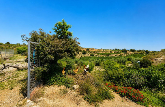For Sale -  - Novelda - HORNA ALTA