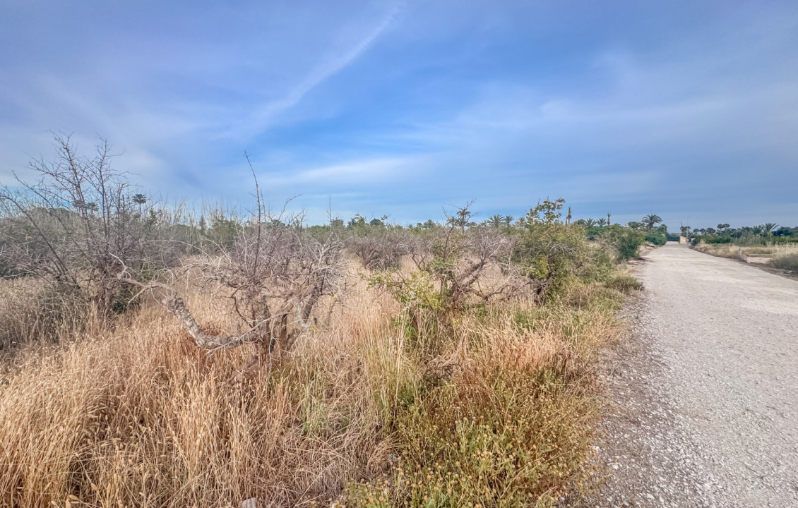 For Sale - Plot - Elche - Matola