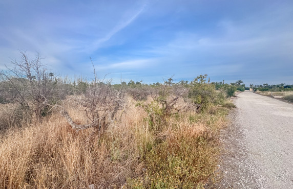 For Sale - Plot - Elche - Matola