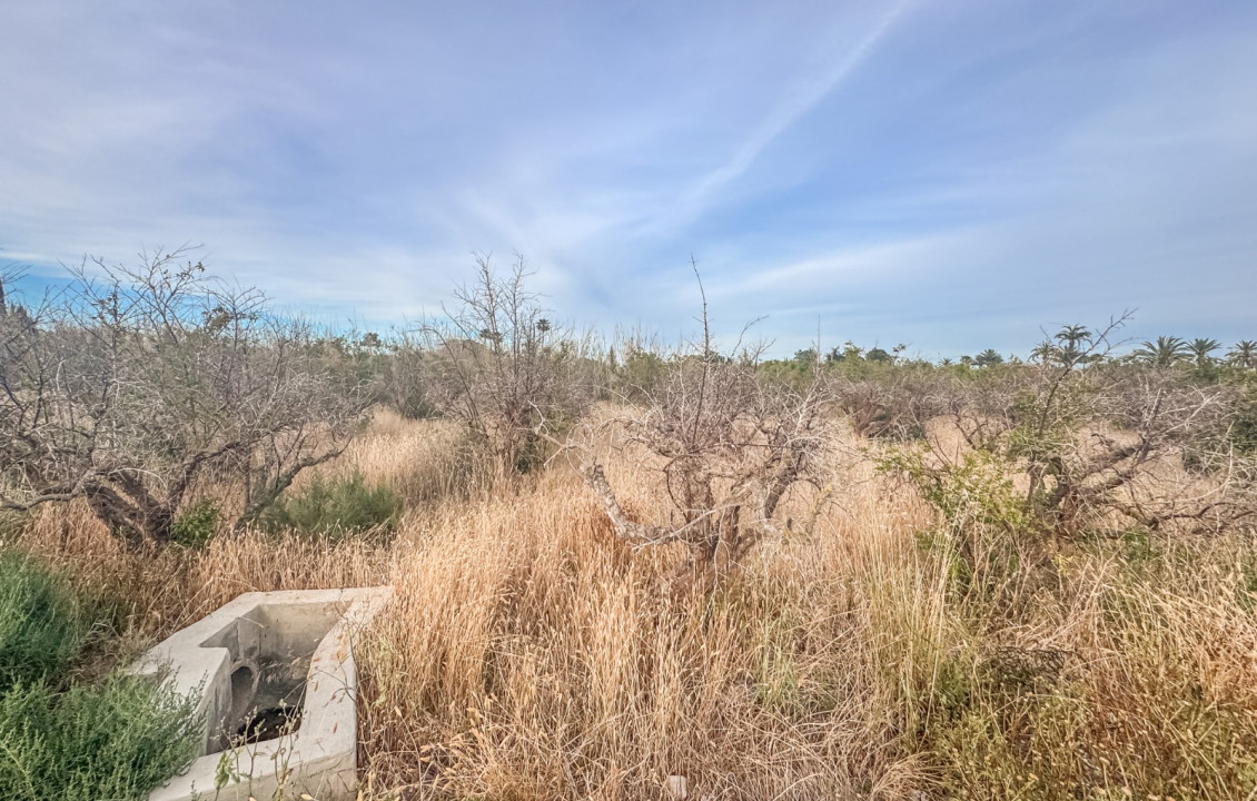 For Sale - Plot - Elche - Matola