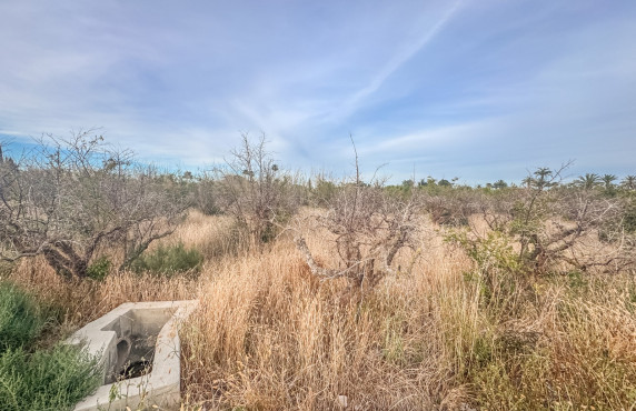 For Sale - Plot - Elche - Matola