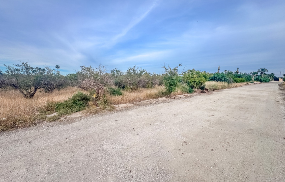 For Sale - Plot - Elche - Matola